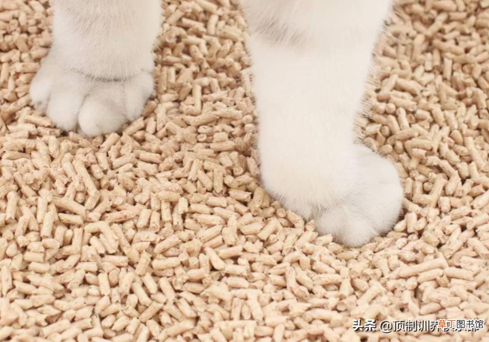 豆腐猫砂多久换一次比较好 多久换一次猫砂