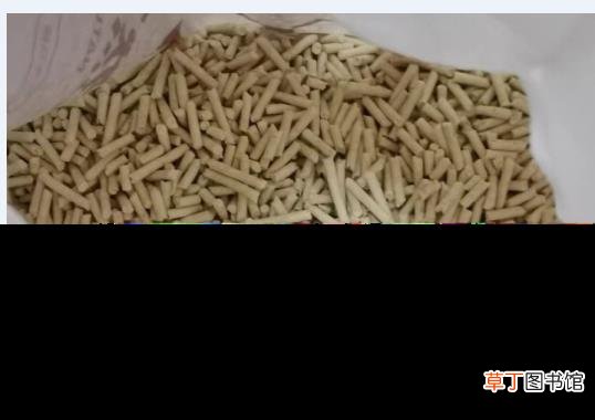 豆腐猫砂多久换一次比较好 多久换一次猫砂