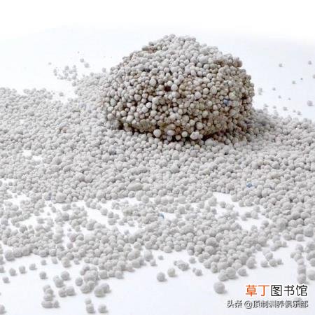 豆腐猫砂多久换一次比较好 多久换一次猫砂