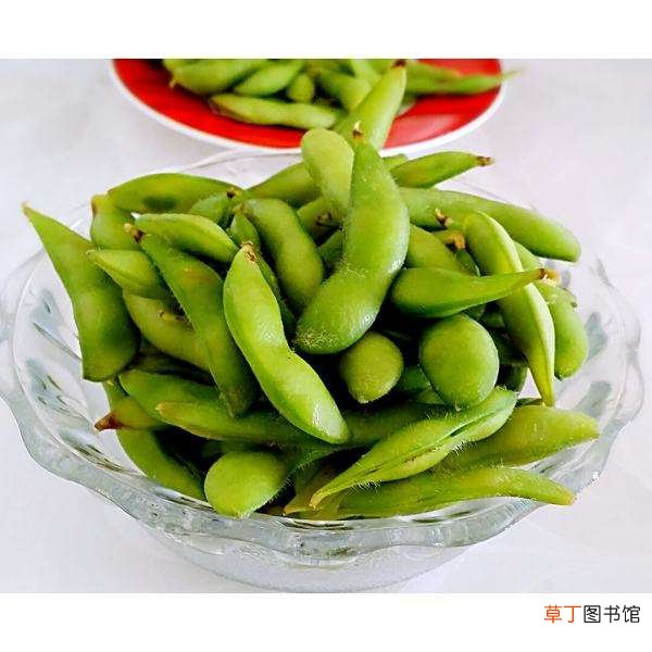 煮毛豆不黄是绿色的方法