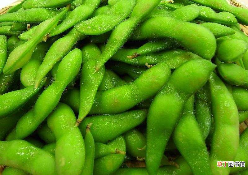 煮毛豆不黄是绿色的方法