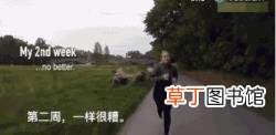 跑步减肚子多久见效 跑步每天跑多久合适