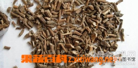 北柴胡的功效与作用
