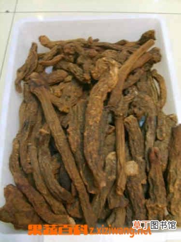 锁阳的功效和作用