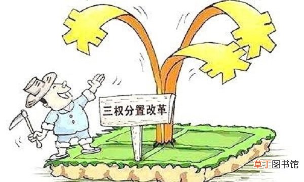 三权分置指的是哪三权
