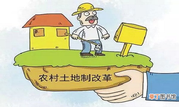 三权分置指的是哪三权
