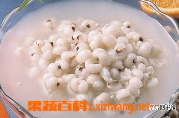 薏仁粥的做法和功效