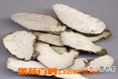 白芷的副作用