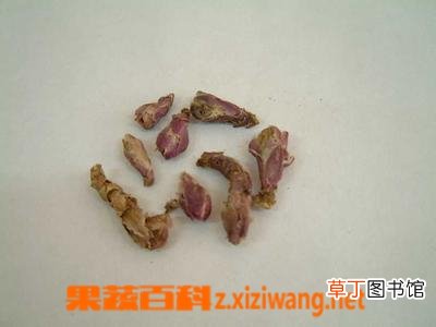 款冬花的功效与作用