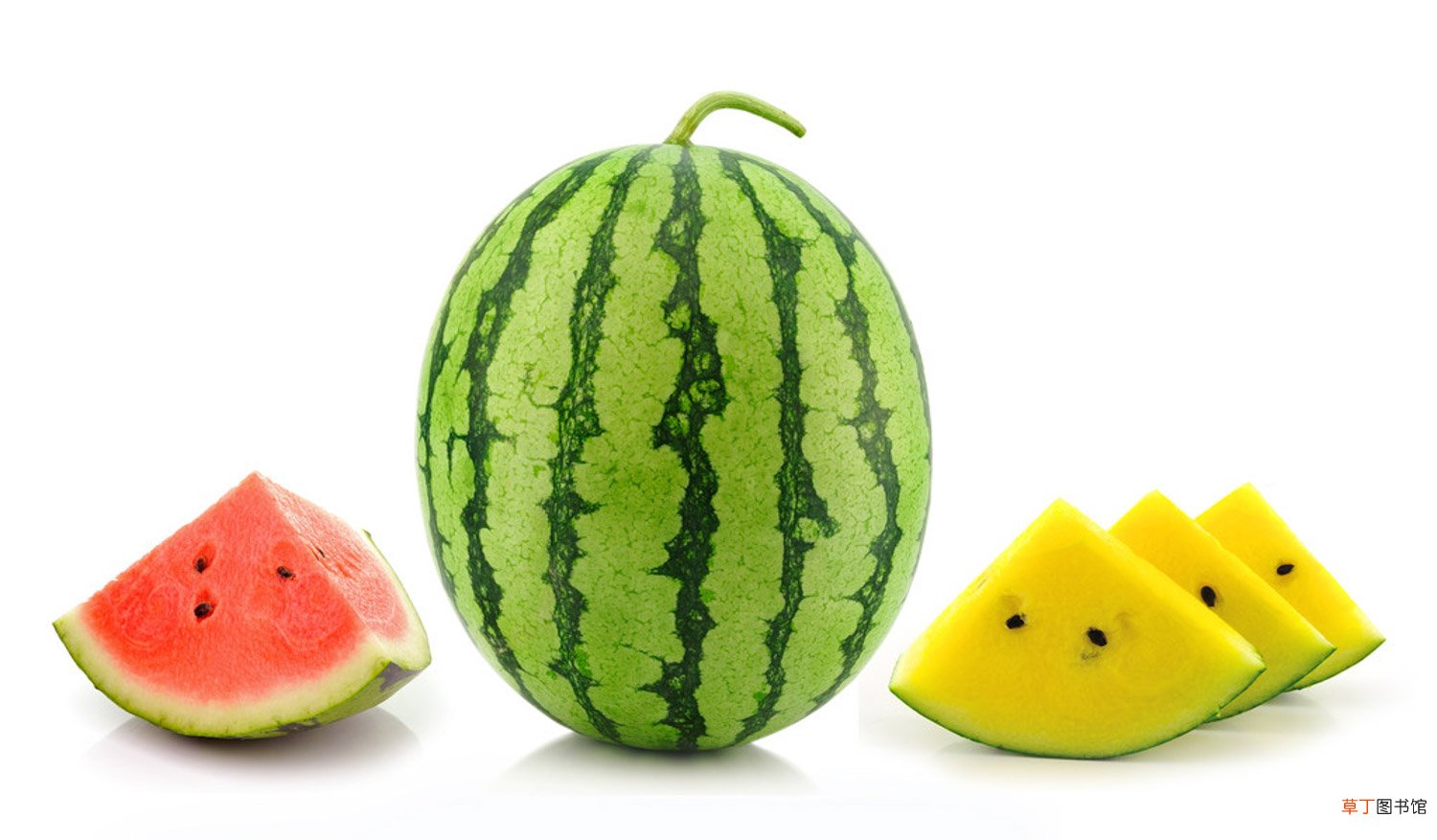 西瓜什么时候种，怎么种西瓜