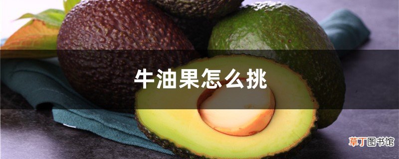 牛油果怎么挑,牛油果怎么切