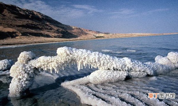 死海是海吗