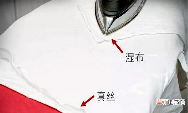 雪纺和涤纶有什么区别