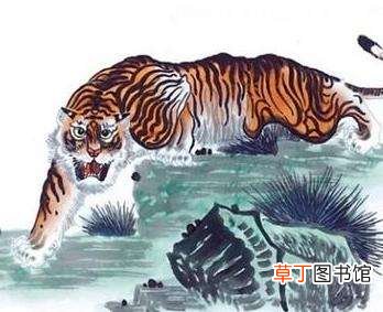 2021年备孕虎宝宝最佳月份?2021年生虎备孕最佳时间表