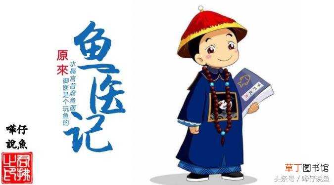 鱼缸细菌屋越多越好吗 细菌屋多久换一次