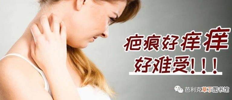 鱼缸细菌屋越多越好吗 细菌屋多久换一次