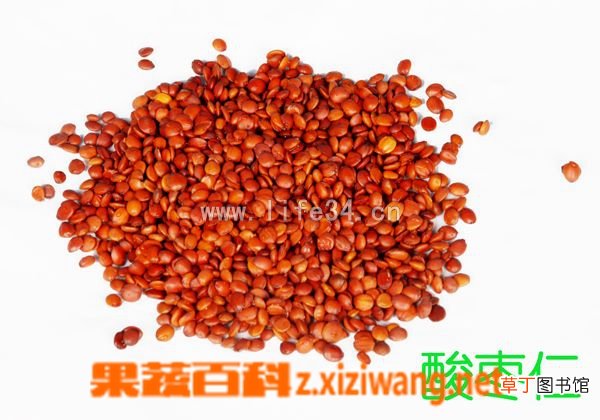 酸枣仁的副作用