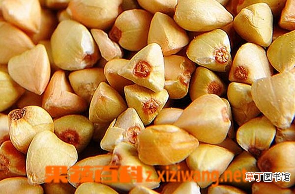 荞麦米的功效与作用