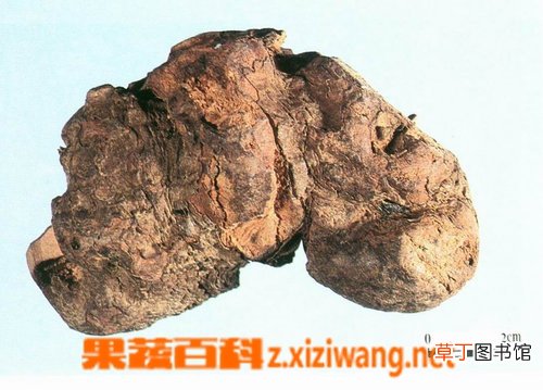 土茯苓的副作用
