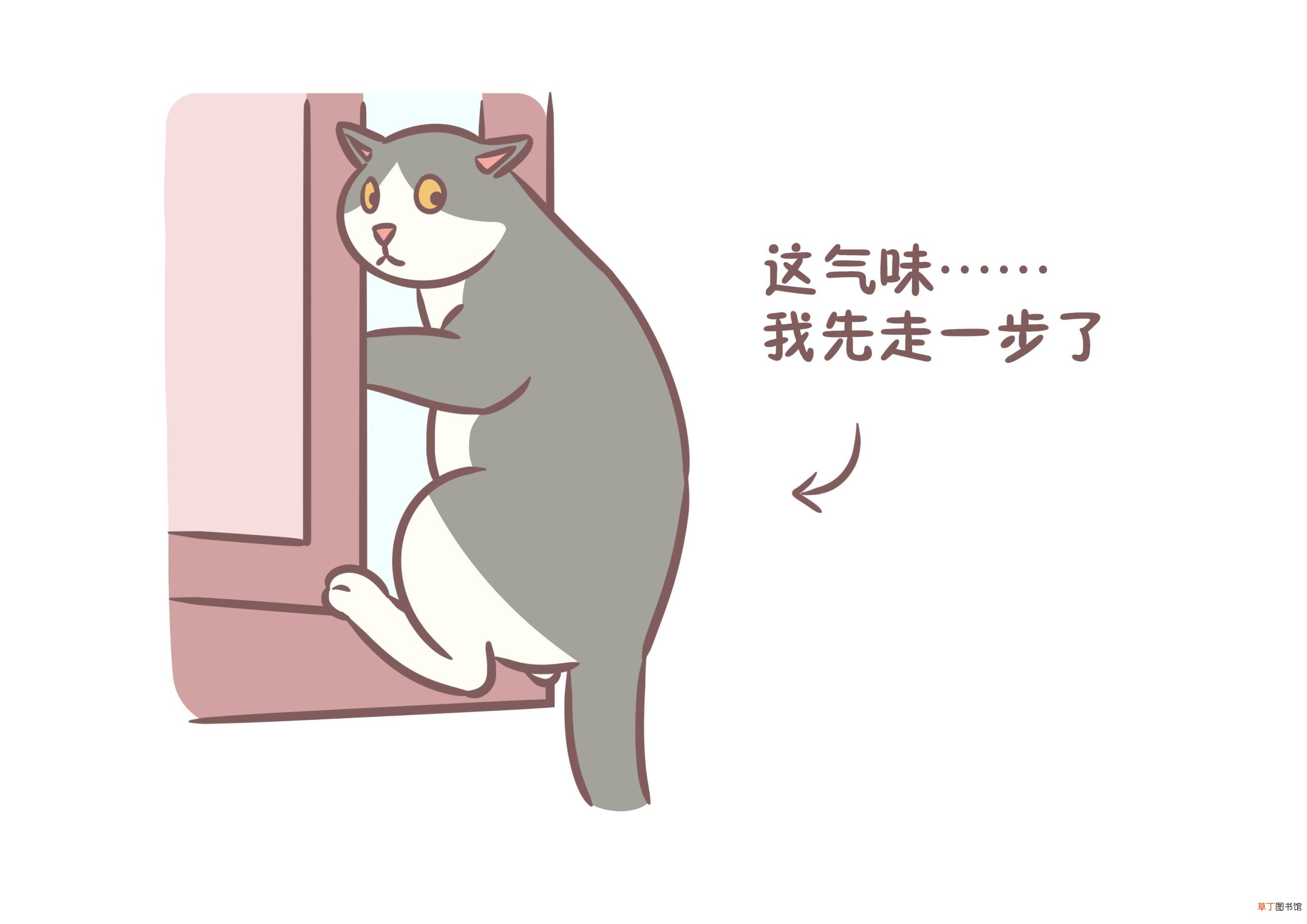 鸡爪煮5分钟能吃吗 鸡爪煮多久熟