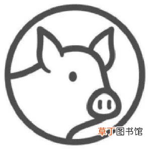 猪肉零下18度可以保存多久 猪肉可以冻多久