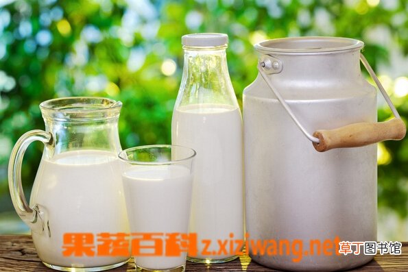 牛奶的功效与作用有哪些