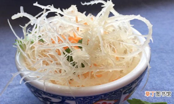 石花菜是什么植物