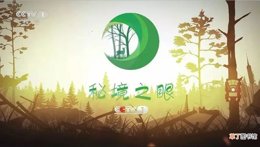 我国珍稀动物 我国本土特有的珍稀野生动物