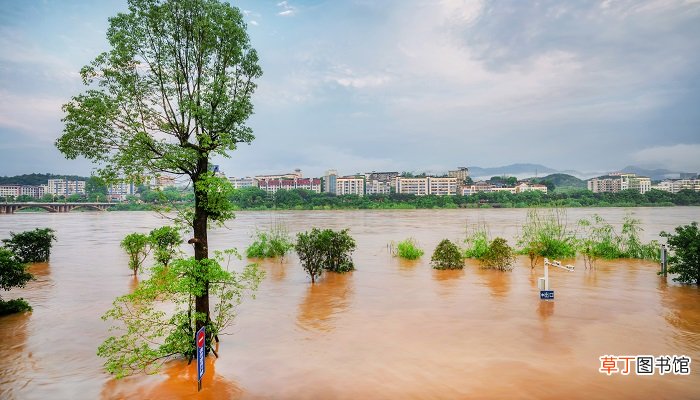 梦见大水冲塌了房子是什么意思
