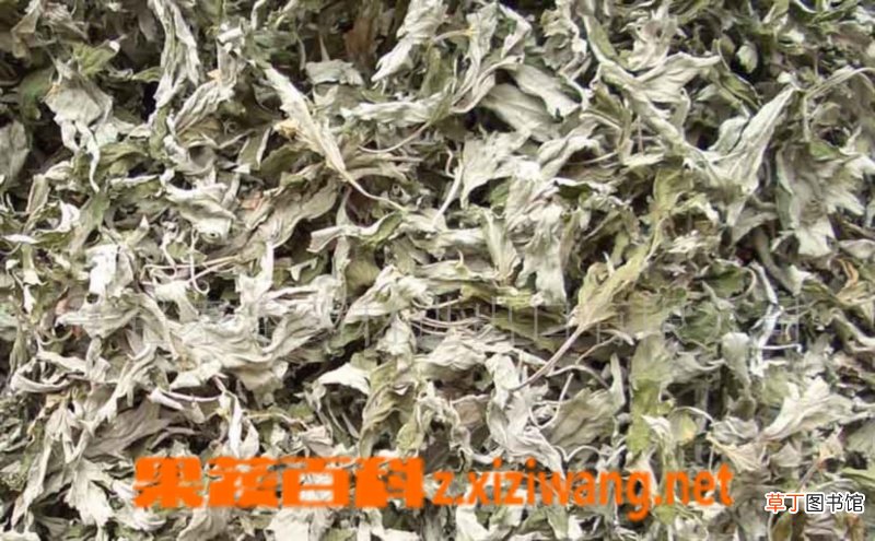 艾叶有什么功效