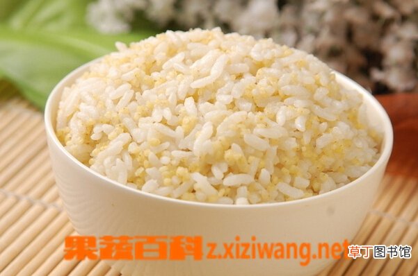米饭变质辨别 米饭变质能吃吗