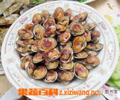 瓦楞子的功效与作用