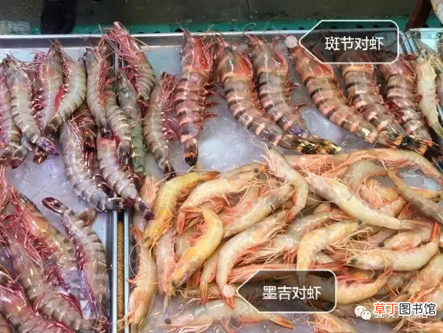 青岛大虾 各种青岛大虾