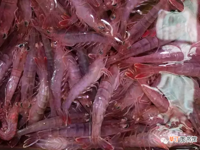 青岛大虾 各种青岛大虾