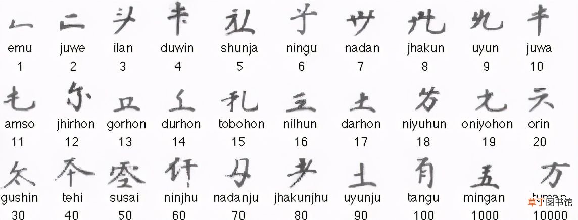 满族的资料 满族是从哪里来的？