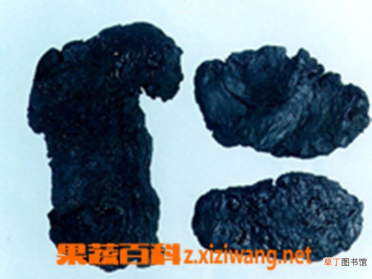 熟地的副作用