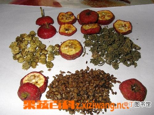决明子泡水喝的功效