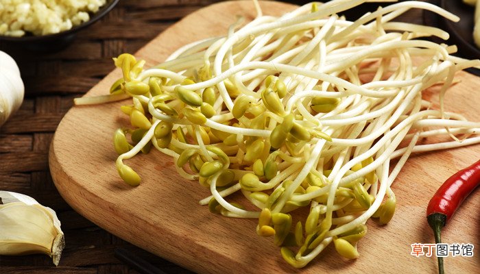 梦见豆芽