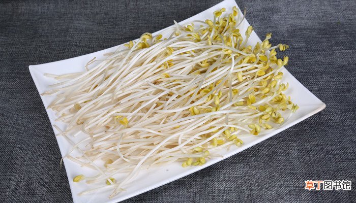 梦见豆芽