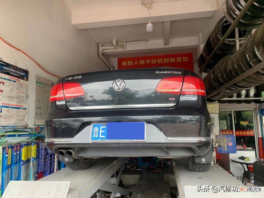 金鱼吃完食物多久排便 鱼多久消化