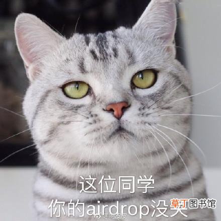 苹果怎样隔空投送 苹果的隔空投送怎么用