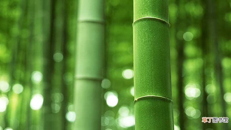 古代六月份别称