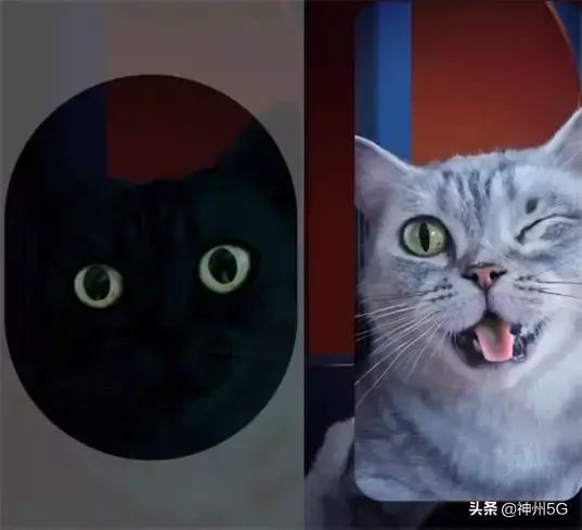 vivo手机系列X. Y. Z 档次区别 vivo手机系列