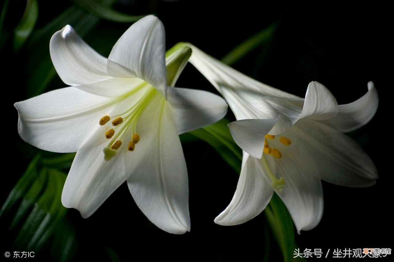 五蕴皆空 五蕴皆空，到底说的是啥