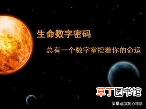 生命数字 用心理学的“生命数字”解读你所迷茫的一切