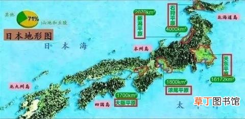荞麦皮枕头怎么清洗去除螨虫 多久换一次枕头
