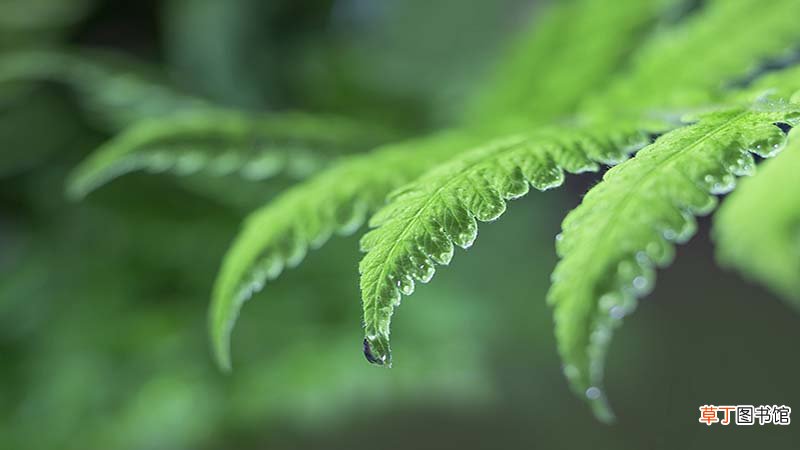 春秋分冬夏至时间
