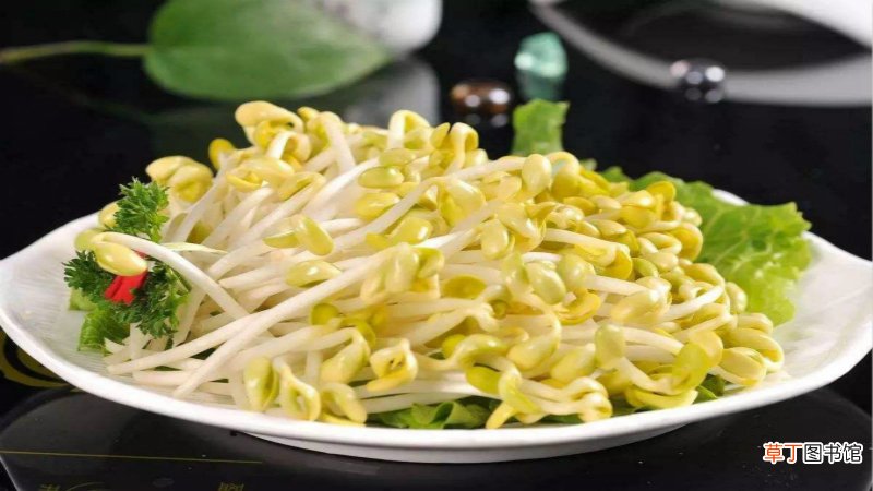 可乐瓶生黄豆芽的方法