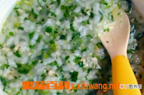 瘦肉菠菜粥的做法步骤和材料