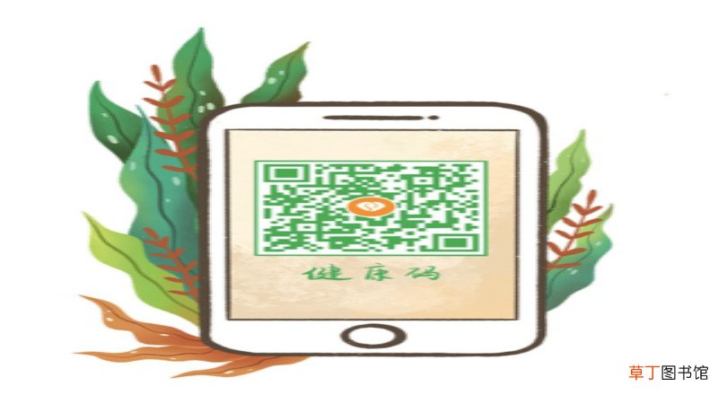 杭州绿码红码是什么